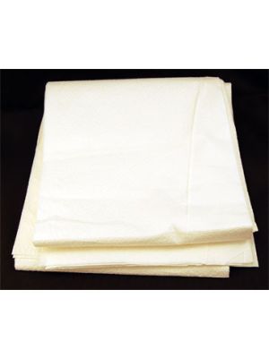 Disposable Stretcher Sheet White 40