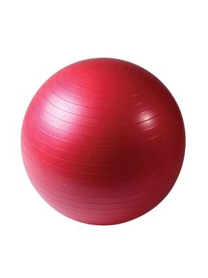 Anti-Burst Stability Ball 55 cm