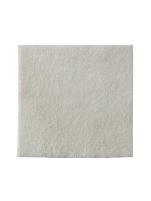 Coloplast 3740 Biatain Alginate 1