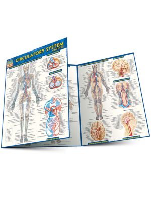 Circulatory System Advanced Laminated Study Guide