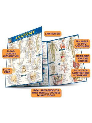 QuickStudy Anatomy Laminated Study Guide