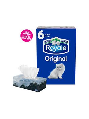 Royale Original 2-Ply Facial Tissue 100's 6 Boxes