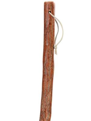 Sassafras Hiking Stick