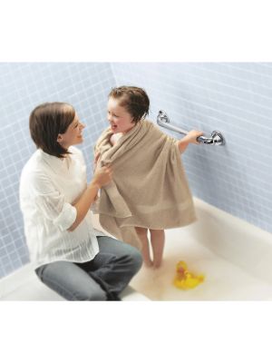 Moen Home Care 16