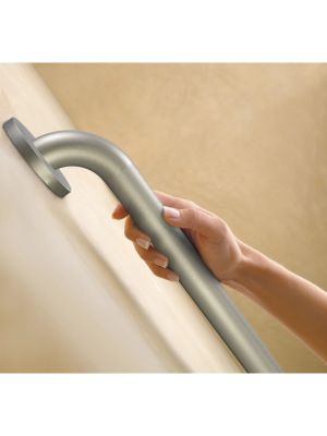 Moen Home Care Peened 24