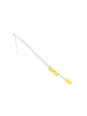 Long Handled Foot Sponge & Brush