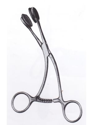 Young Tongue Holding Forceps 16cm 6 1/4