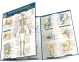 Joints & Ligaments Advanced Quick Study Guide