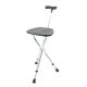 Walking Cane with Seat