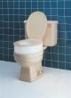 Raised Toilet Seat Standard 3.5