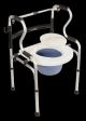 5-In-1 Mobility & Bathroom Aid