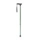 Comfort Grip Cane Forest Green