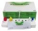 Innovacon Strep A Rapid Test Strips Box/25