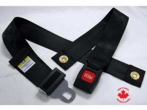 Parsons' Wheelchair Positioning Belts